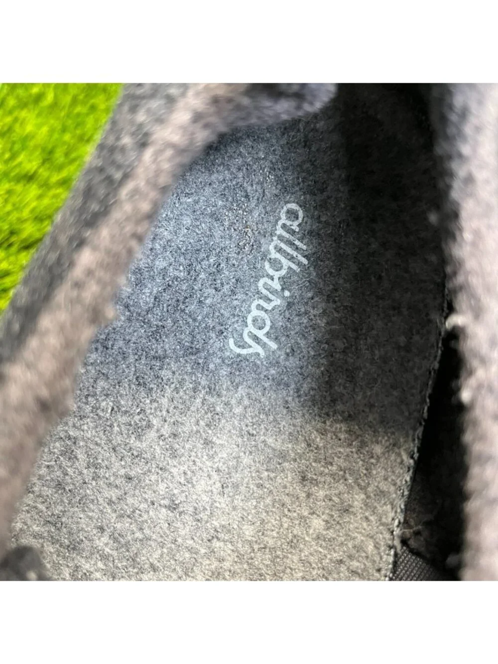 allbirds please review